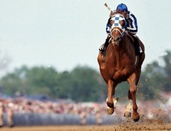 SECRETARIAT Triple Crown LOT of (3) PHOTOS 8×10 Derby / Preakness / Belmont