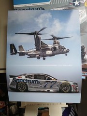 Carson Hocevar 8.5×11 Glossy Photo 2026 Nascar Navy San Diego