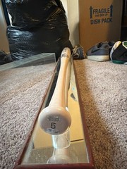 david wright signed bat