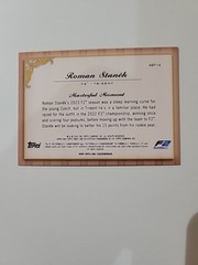 2024 Topps Finest Formula 1 Roman Stanek Finest Masters #MST-14