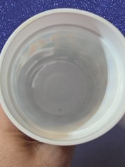 Vintage 1991 Florida Gators SEC Championship Stadium Cup