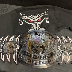 WWE AUTHENTIC SIGNATURE SERIES BROCK LESNAR CHAMPIONSHIP REPLICA RARE With Bag