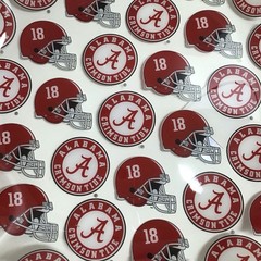Alabama Crimson Tide SET OF 2 College Football Plastic Dish Plate Tray 11” NEW