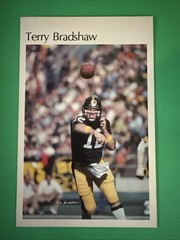 1981 TERRY BRADSHAW 6”x 9” Mini Poster