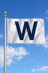 Chicago Cubs W Flag 2 X 3