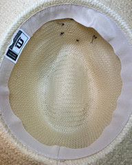 Philadelphia Phillies Phanatic Straw Sun Hat / Cowboy Hat