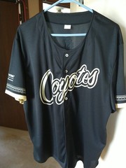Arizona Coyotes Phoenix Gila Giveaway Baseball Jersey #96 New In Package