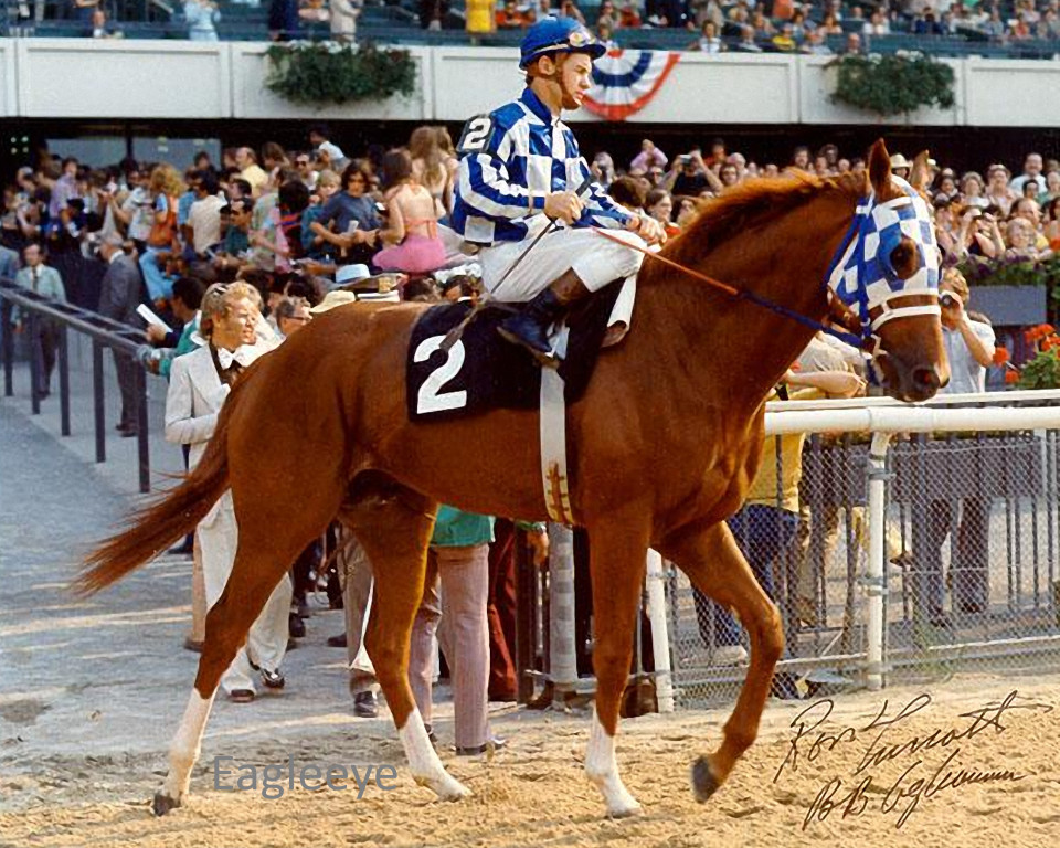 SECRETARIAT Triple Crown LOT of (3) PHOTOS 8×10 Derby / Preakness / Belmont