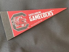 UNIVERSITY OF SOUTH CAROLINA NCAA Mini Pennant 9X4 inch, Felt