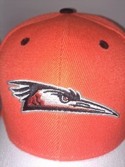 NEW DELMARVA SHOREBIRDS PROMOTIONAL ADVENTURES MD BASEBALL HAT ADJUSTABLE NEW