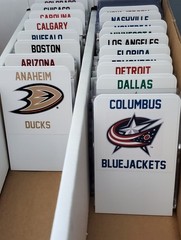 32 TALL Sports Card Dividers with FREE NHL Team Logo Labels