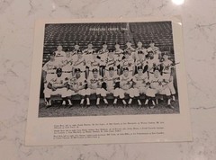 1966 SYRACUSE CHIEFS INTERNATIONAL MINOR LEAGUE BASEBALL TEAM PICTURE PHOTO