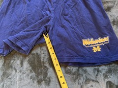 Michigan Wolverines Shorts Mens Large Blue NCAA Football True Fan Sportswear