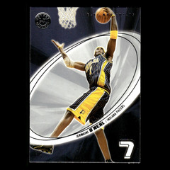Jermaine ONeal #50.0 2004 SkyBox E-XL Indiana Pacers Basketball Card NBA NM