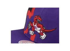 Mitchell & Ness Toronto Raptors NBA Retroline HWC Snapback Hat Cap