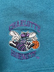 Vintage Charlotte Hornets Teal Fleece Shorts Size XL Made in USA 90s NBA Logo 7