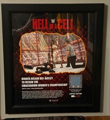 WWE – Bianca Belair def Bayley in the WWE Thunderdome 15×17 – Numbered 1/250!
