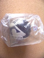 1998 Colorado Rockies Vinny Castilla photo 1997 stats baseball ball