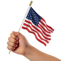 100 pack Fade Resistant Small American Flags On Stick,4×6 4×6 inches, blue