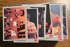 VINTAGE 1991 AW ALL WORLD BOXING CARDS Complete Set W/ GOLD MUHAMMAD ALI #69!!