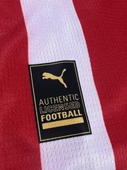 PUMA Club Deportivo Guadalajara Chivas Fan Version Home Jersey 25/26