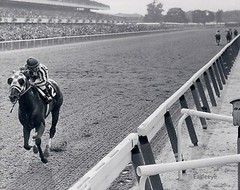 Lot of 2 ~ SECRETARIAT Photograph ~ Belmont Stakes Black & White 8 X 10 PHOTOS