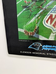 1995 Carolina Panthers inaugural season Poster