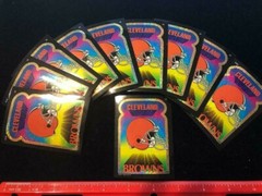 10 Count NEW Cleveland Browns Prismatic Sticker Sheet 2.5 x 3.5 inches