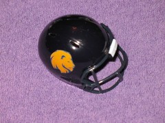 East Texas A&M Lions Custom Pocket Pro Helmet