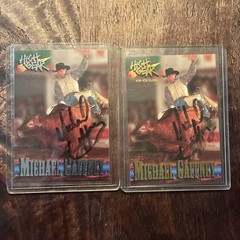 (2) 1995 High Gear Rodeo Michael Gaffney Gold/Silver Auto