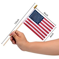 12 Pack Small American Flags on Stick US 4×6 inches, 4×6 Inch (Red)