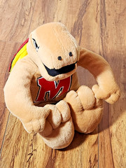Maryland Terrapins Testudo Mascot Plush Puppet Stuffed Toy Doll Figure 8 Inches