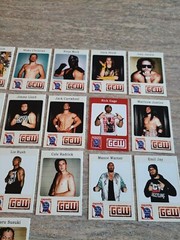 2022 Game Changer Wrestling GCW x PBR Trading Cards Pick Singles Chase Patreon