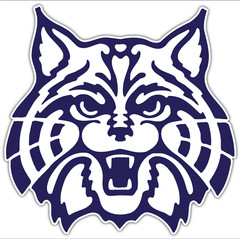 Sticker – Arizona Wildcats logo – Die Cut Laminated Vinyl Decal