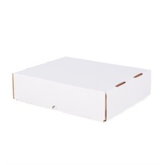BCW Cardboard Full Lid 3200 Count Baseball Trading Card 4-Row Storage Box