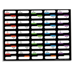 Taby Card™ 500 pc. Card Grading Sticker Set – 10 x 50 Stickers Per Sheet!