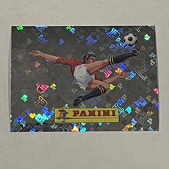 Panini 2026 FIFA World Cup #00 Holographic Foil sports logo sticker