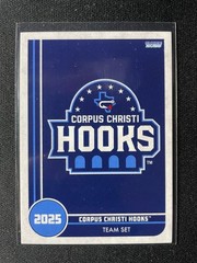 2025 Choice Corpus Christi Hooks Team Set (Astros) You Pick Free Shipping!!!
