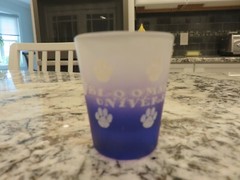 Bloomsburg University (Huskies) Paw Print Purple/Clear Frosted Shot Glass EUC