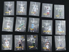 PLL Fieldside II Award Winners Insert Full Set