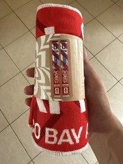 2026 FIFA World Cup Match Day Scarf Turkey Türkiye vs Paraguay