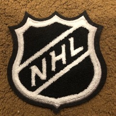 NHL National Hockey League Shield Logo Large Chenille Patch