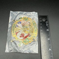 Vtg 80s Edina Hornets Hockey Limited Edition /300 Pin Minnesota BANTAM STINGERS