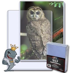 BCW 5×7 Topload Holder 25ct Pack FREE SHIP