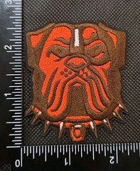 CLEVELAND BROWNS NFL FOOTBALL IRON ON EMBROIDERED PATCH SAME AS PHOTOS