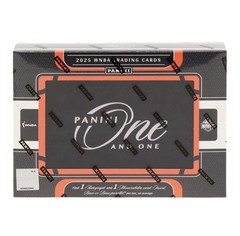 2025 PANINI ONE AND ONE WNBA BASKETBALL HOBBY BOX