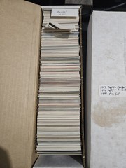 Huge Lot Of Sports Cards, MLB, NFL, NBA, WWF