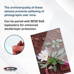 6×9 Photo Sleeves – 100 ct | Acid-Free, No PVC | Crystal Clear Polypropylene …