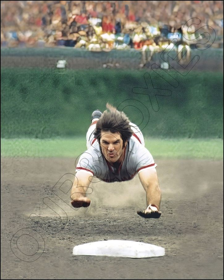 Pete Rose Photo 8X10 – Cincinnati Reds FREE SHIPPING