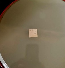 VINTAGE ORIGINA 1970’S NFL BRONCO METAL BEER SERVING TRAY, 14 INCHES Immaculate!